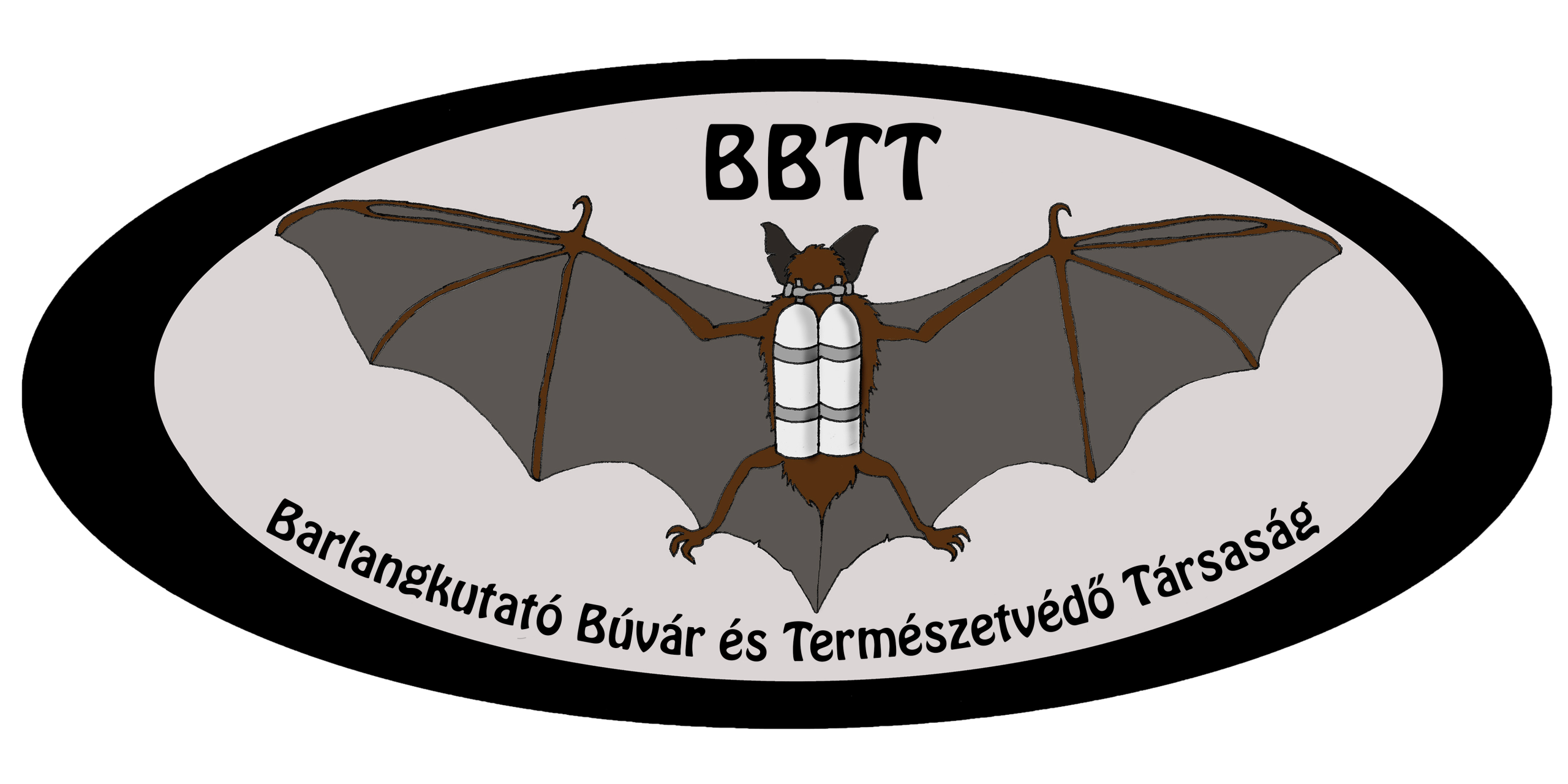 SGSS-u-BiH-logo-OK