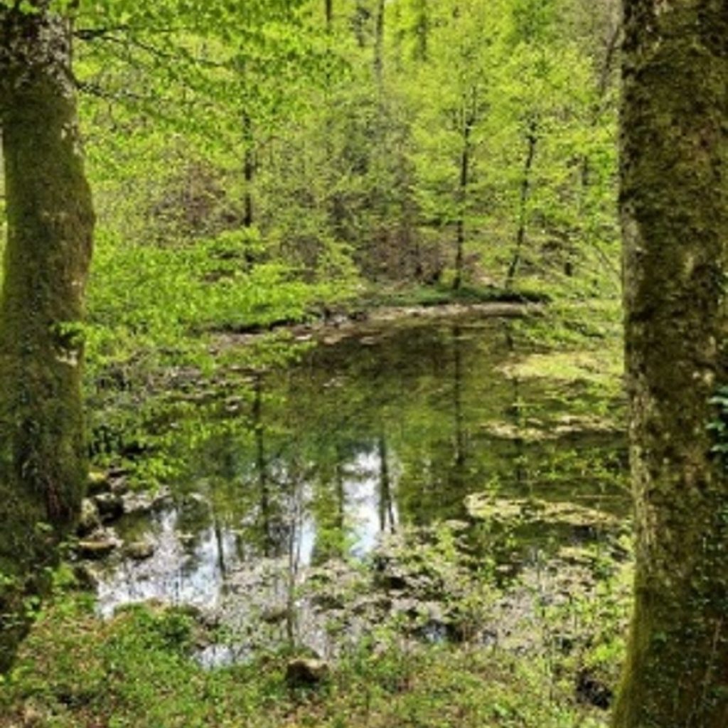Šteberk. Photo: Janez Vengušt