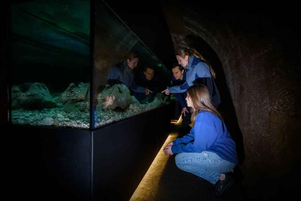 Tular Cave Lab
